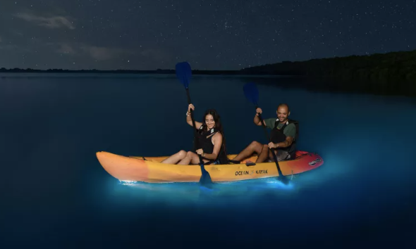 Bio Bay — Fajardo