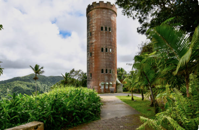 El Yunque National Rainforest